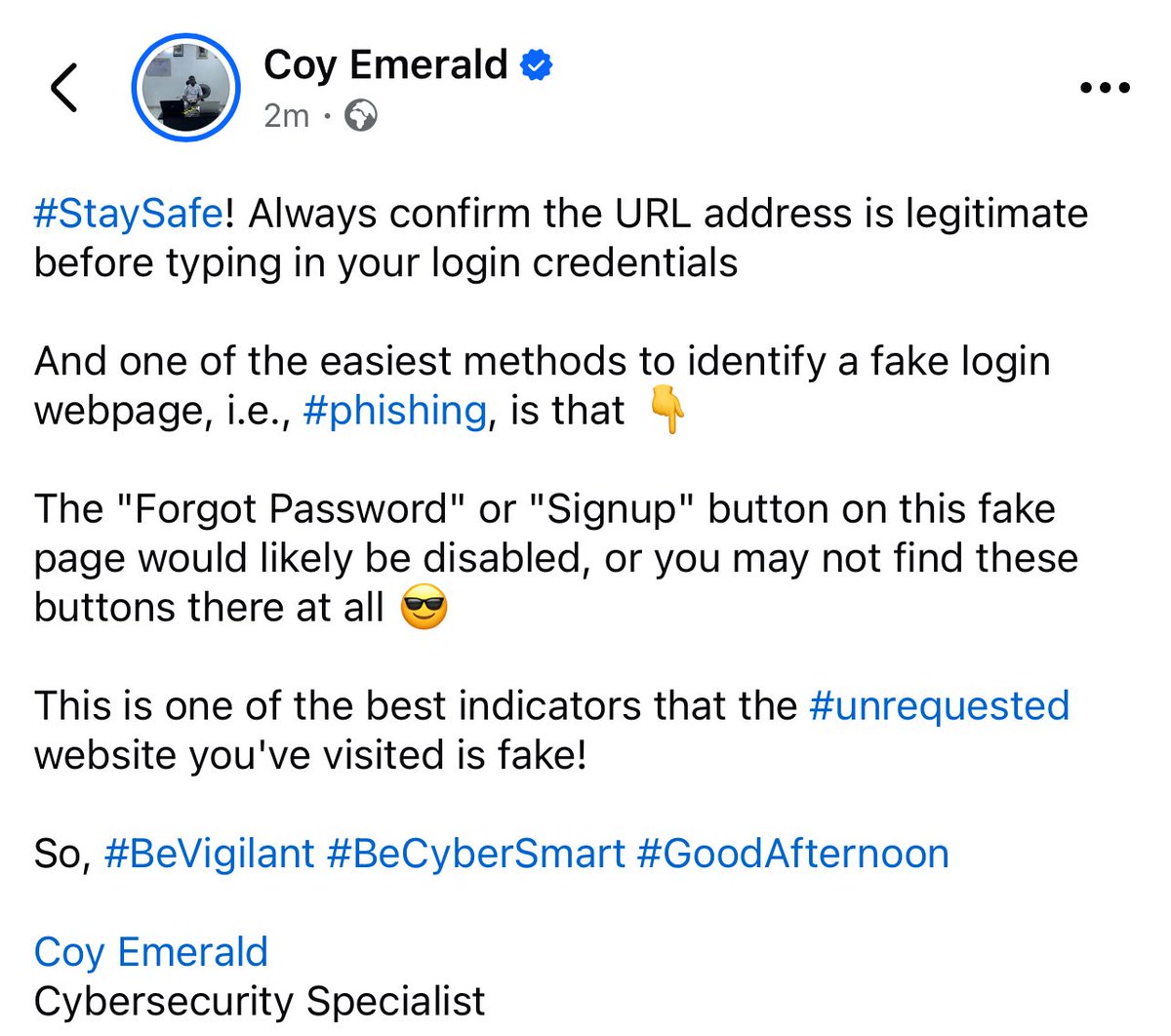 CoyEmerald1's tweet image. One of the best indicators that the #unrequested website you&apos;ve visited is fake 👇