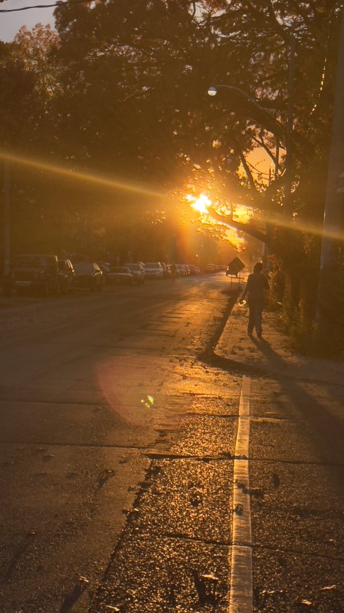 Jon Captures tweet media