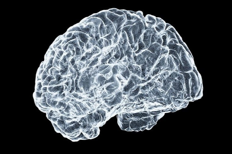 WashUONR's tweet image. Keith Hengen @WashUBio @washuartsci notes that “criticality” - the tipping point between order &amp;amp; chaos - is the key to understanding how the brain works, &amp;amp; how to keep it free from Alzheimer’s and other diseases.

@ShewLab @UArkansas
#WashUNeuroCommunity

bit.ly/3HTODZg
