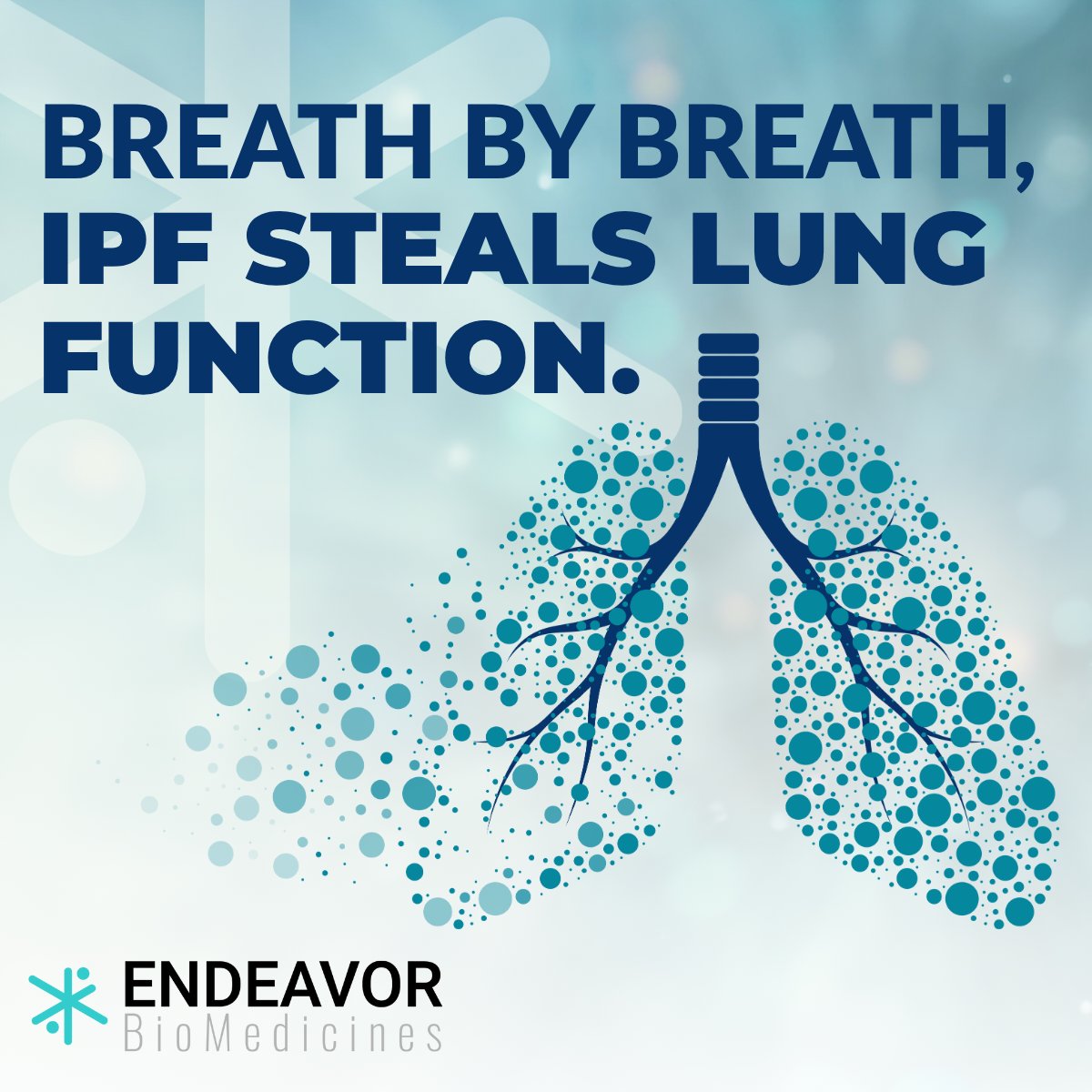 Endeavor BioMedicines (@endeavorbiomed) on Twitter photo June is #MensHealthMonth – a timely reminder that idiopathic pulmonary fibrosis (#IPF), a serious lung disease, is more common in men, especially those over 60.
We're dedicated to advancing research and awareness, aiming to improve outcomes for all affected by IPF. June is #MensHealthMonth – a timely reminder that idiopathic pulmonary fibrosis (#IPF), a serious lung disease, is more common in men, especially those over 60.
We're dedicated to advancing research and awareness, aiming to improve outcomes for all affected by IPF.