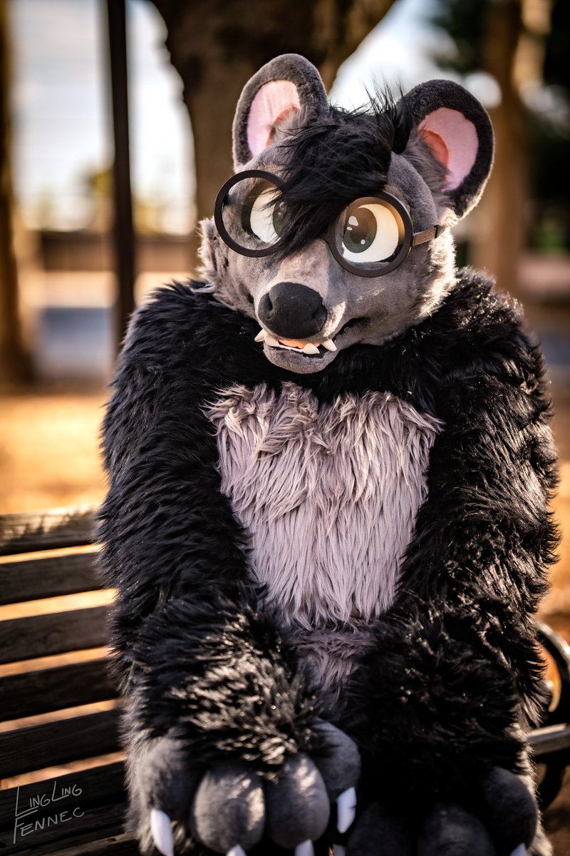 Wix (@skunkwix) on Twitter photo Wanna join me on this breezy afternoon? ππ
#FursuitFriday
πΈ: LingLingFennec
π§΅: <a href="/RitzCostumes/">Ritz Costumes</a> Wanna join me on this breezy afternoon? ππ
#FursuitFriday
πΈ: LingLingFennec
π§΅: <a href="/RitzCostumes/">Ritz Costumes</a>