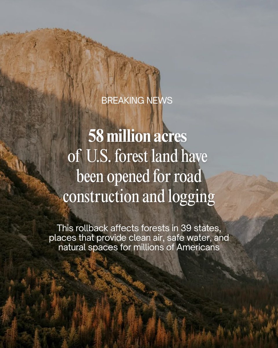 TheOxygenProj's tweet photo. Plans to rescind the 2001 Roadless Rule would strip protections from 30% of U.S. Forest Service land, including 37% of Montana’s, 45% of Idaho’s, and 35% of Wyoming’s national forest acreage.

#ProtectPublicLands #RoadlessRule https://t.co/t2tLYTKC7A