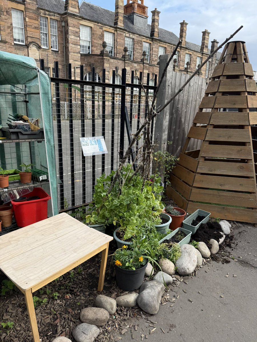 Herb garden and flowers in wellies 🥰