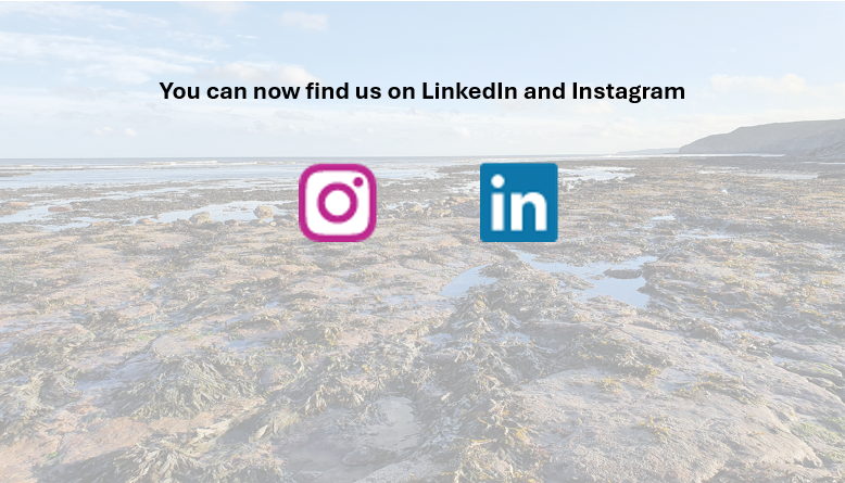 Yorkshire Marine Nature Partnership tweet media