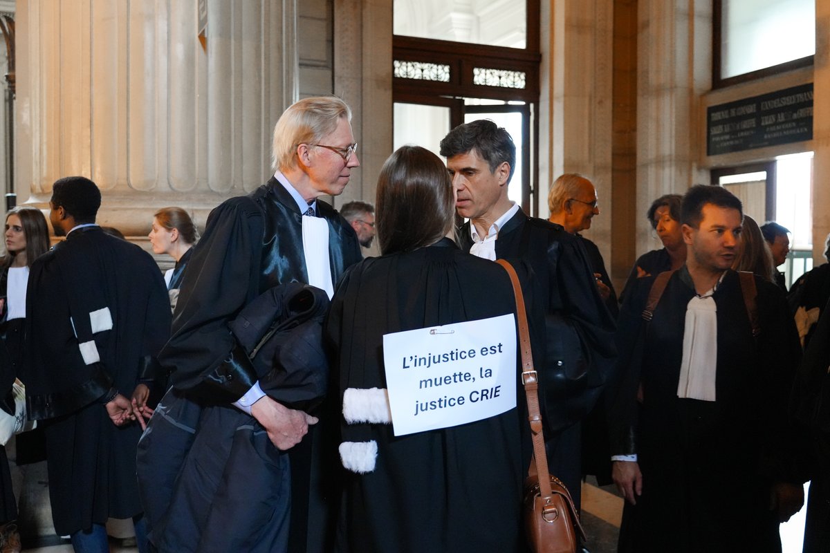 Hoven & Rechtbanken | Cours & Tribunaux tweet media