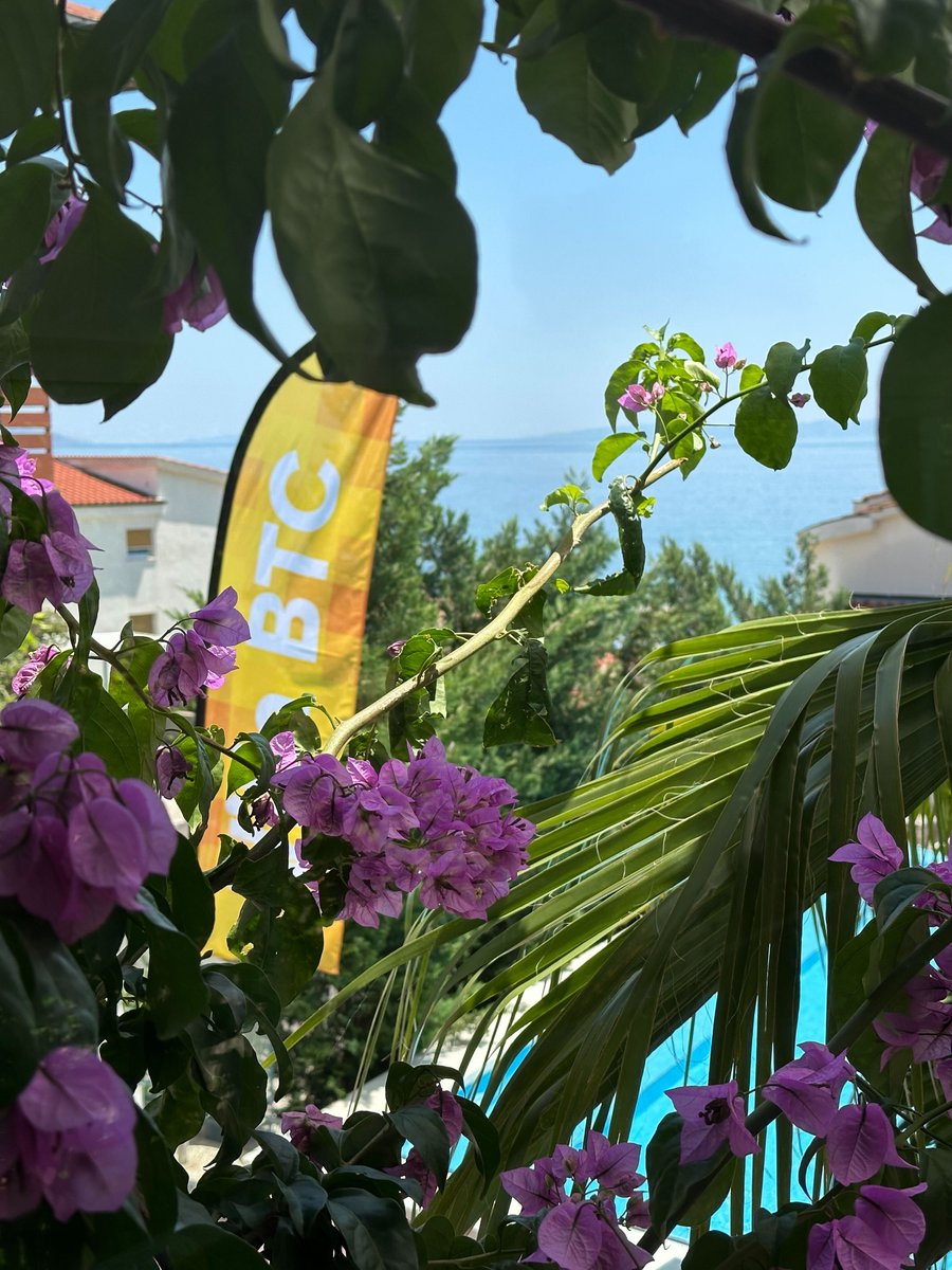 Villa BTC tweet media