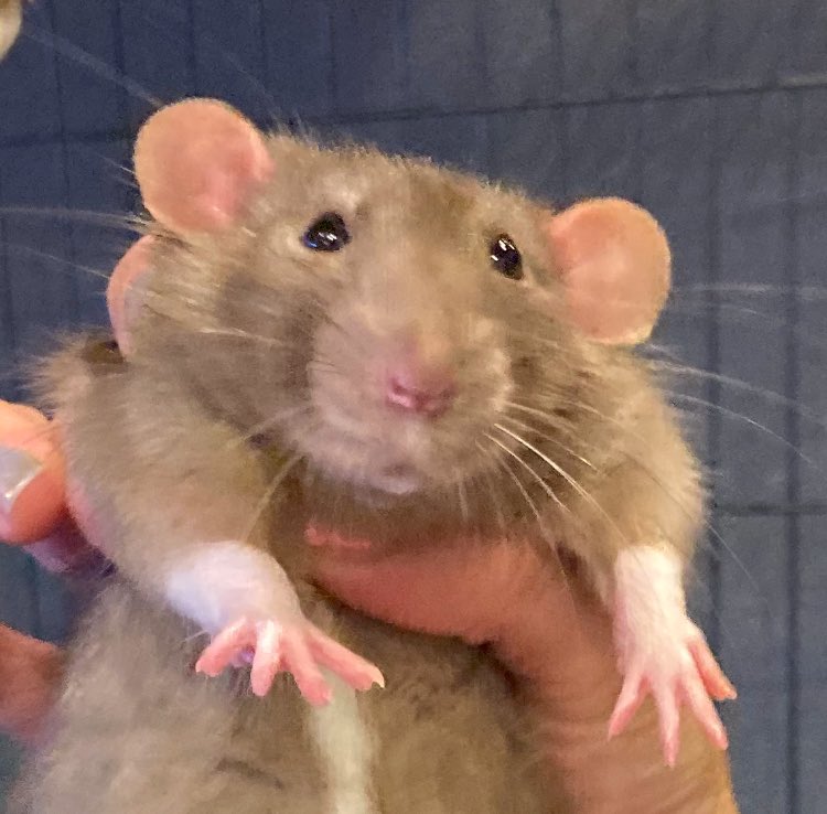 許されないことです