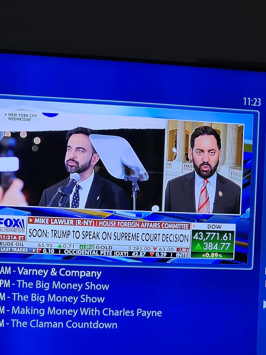 Why these 2 guys look almost the same. Mike Lawler and Mandani