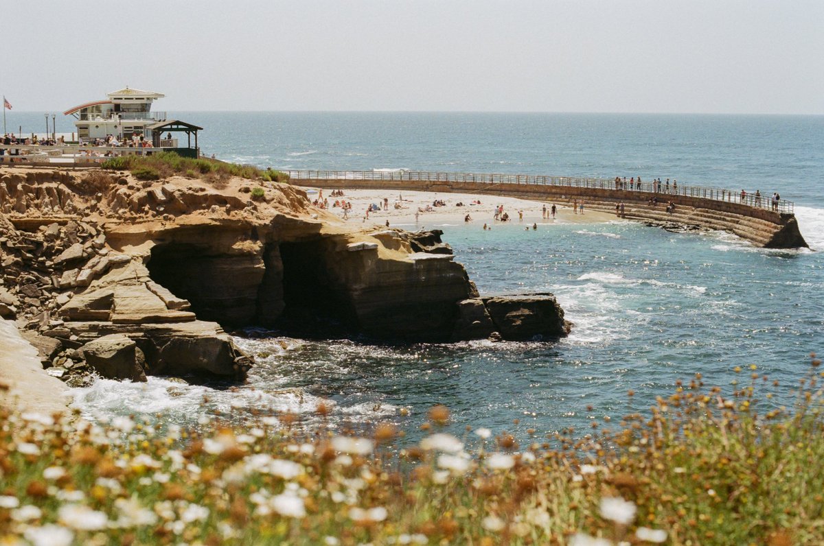 dannysframe's tweet image. Summer pics