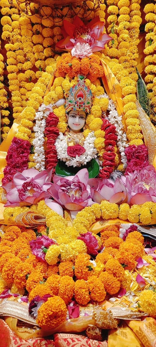 🙏 जय माई की 🙏