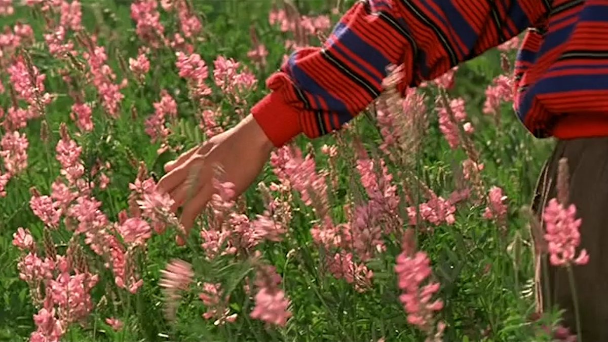acacinema's tweet image. The Color of Paradise.