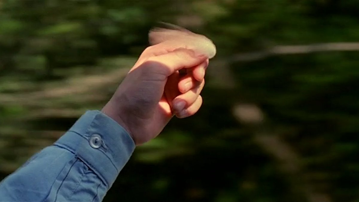 acacinema's tweet image. The Color of Paradise.