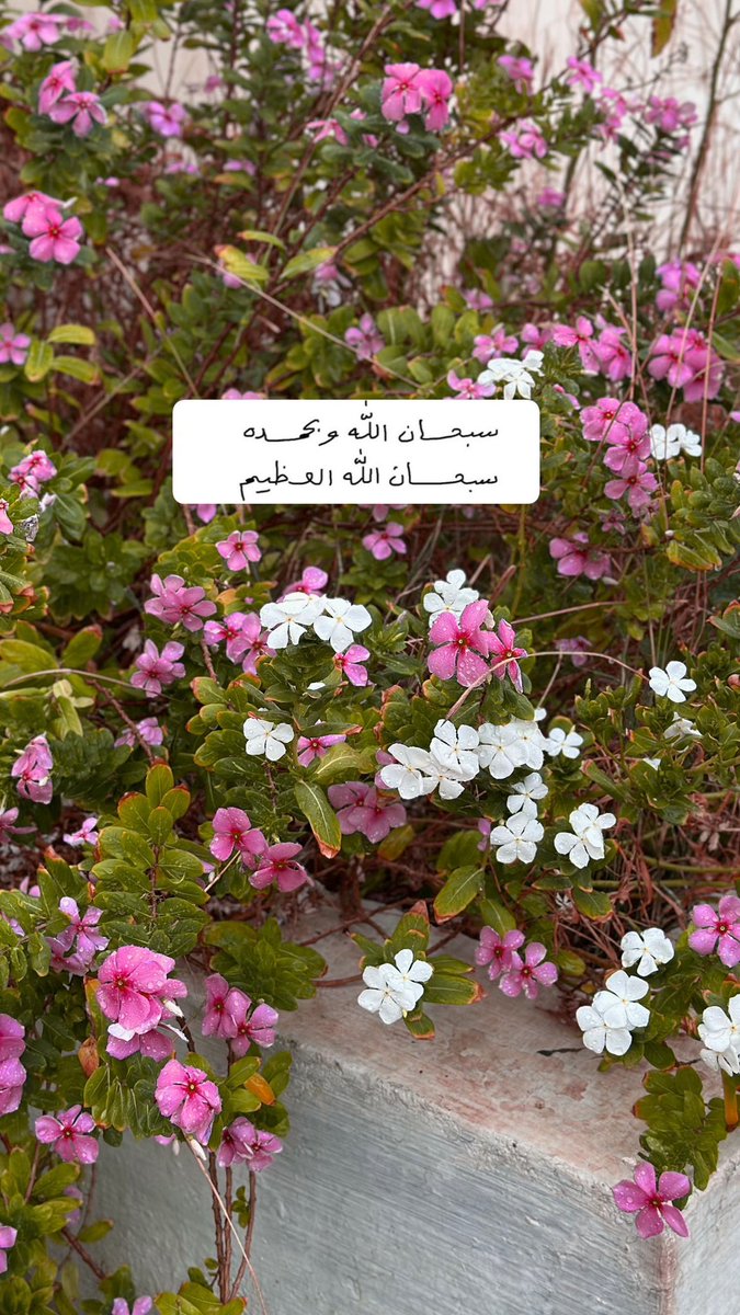 لَ (@ll0_ii3) on Twitter photo 