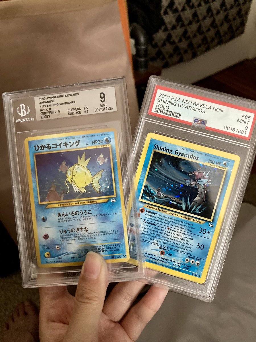 v i v (@vivifymusic) on Twitter photo Ive been going a bit crazy collecting magikarp ngl, and these two are just hard not to get.
Big thanks to <a href="/Collector_Crypt/">Collector Crypt</a> and <a href="/LebnaniTCG/">Lebnani TCG</a> !!
Go give them a follow if you’re looking to find rares to complete your collection :) Ive been going a bit crazy collecting magikarp ngl, and these two are just hard not to get.
Big thanks to <a href="/Collector_Crypt/">Collector Crypt</a> and <a href="/LebnaniTCG/">Lebnani TCG</a> !!
Go give them a follow if you’re looking to find rares to complete your collection :)