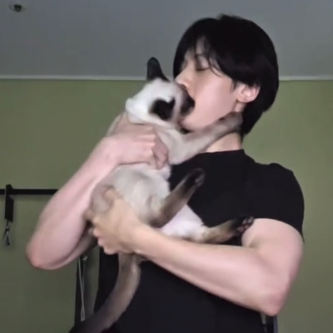 myseokryudan's tweet photo. this is my type (men with big arms and little cats) https://t.co/EYd5iqLx65