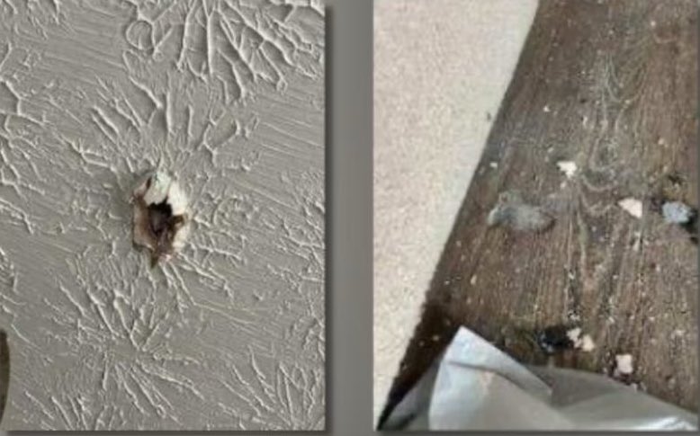 In2ThinAir's tweet photo. 🚨#BREAKING: Meteor CRASHES into Earth in BROAD DAYLIGHT! 

A massive fireball, seen by thousands across multiple states, has STRUCK Henry County, Georgia, with fragments smashing through a home's roof. 

Fire departments are scrambling to locate more debris from the meteorite that lit up the sky around 12:30 p.m. Thursday. Reports flooded in from North Carolina, South Carolina, Atlanta, Tennessee, and Florida of a blazing object plummeting through the atmosphere.