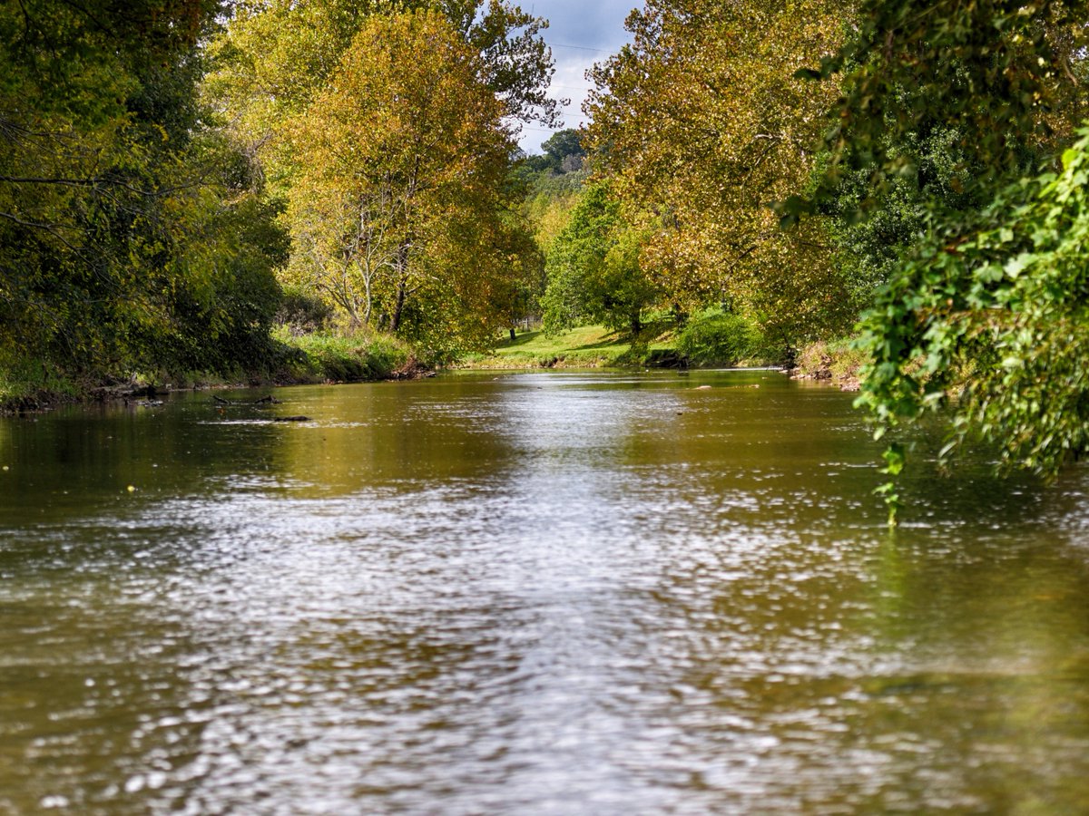 Known for its remote location and biodiversity, the Clinch River in Southwest Virginia is home to nearly 50 species of mussels. 

Find your next outdoor adventure at visitswva.org/play

📸 The Clinch River
