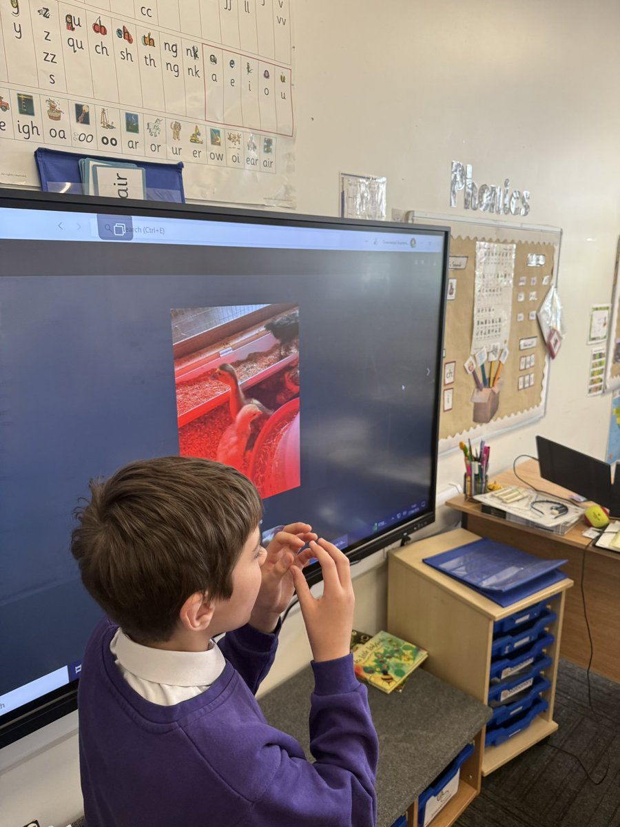 This morning one of our year 6 pupils came to teach the Reception class all about chicken eggs and how we know which ones are fertile and which we can eat. We even got to see some pictures of his pet ducks and chicks from home! #peerlearning #interest