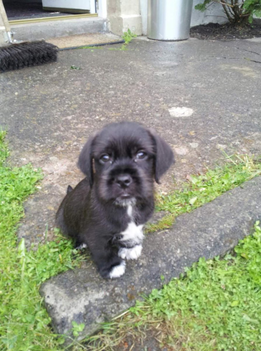 🏴McDonald 021🏴 tweet media