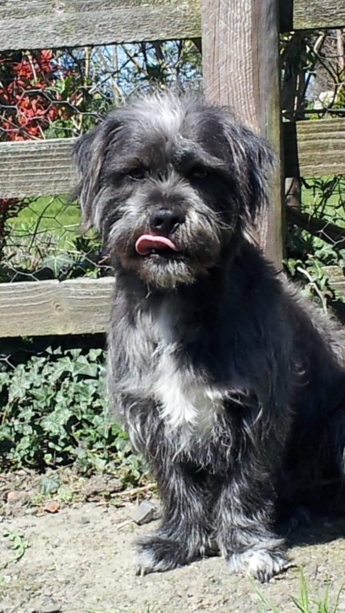 🏴McDonald 021🏴 tweet media