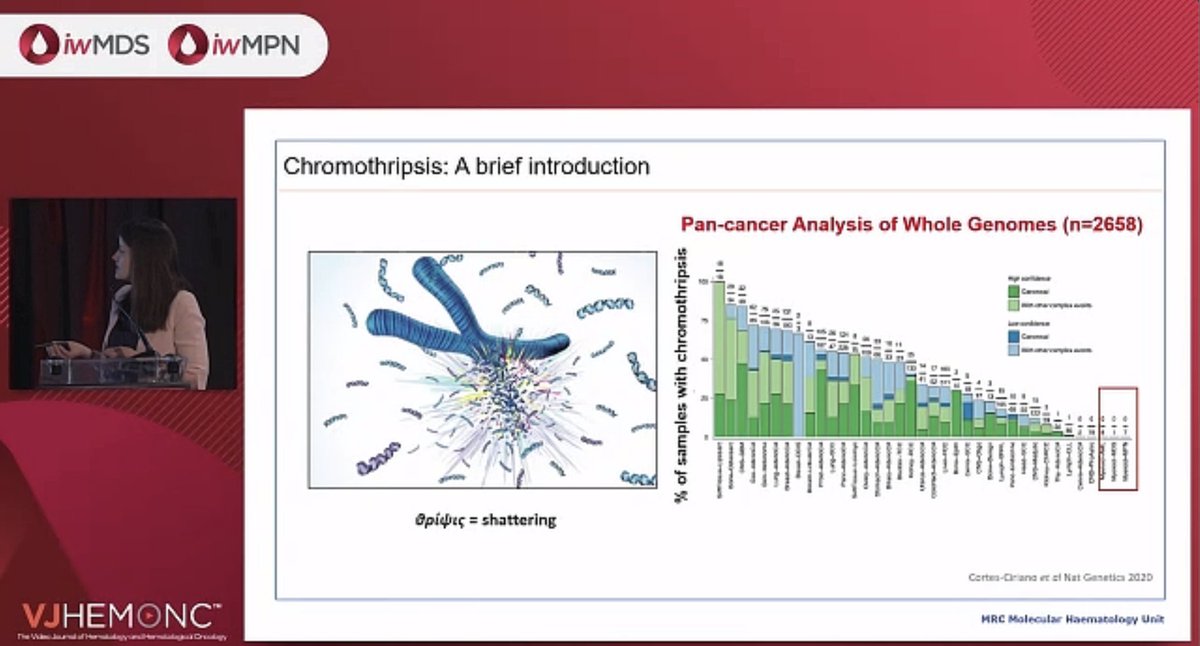 Understanding leukemic transformation: biology insights from <a href="/CKBrierley/">Charlotte Brierley</a> <a href="/VJHemOnc/">VJHemOnc</a> #iwMDS25 #iwMPN25 #LeukemicTransformation #MPN