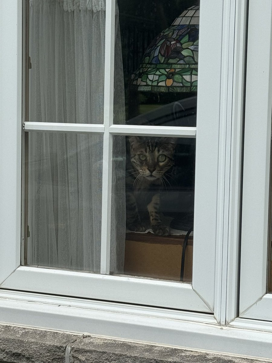 POV: you’re walking up to my house