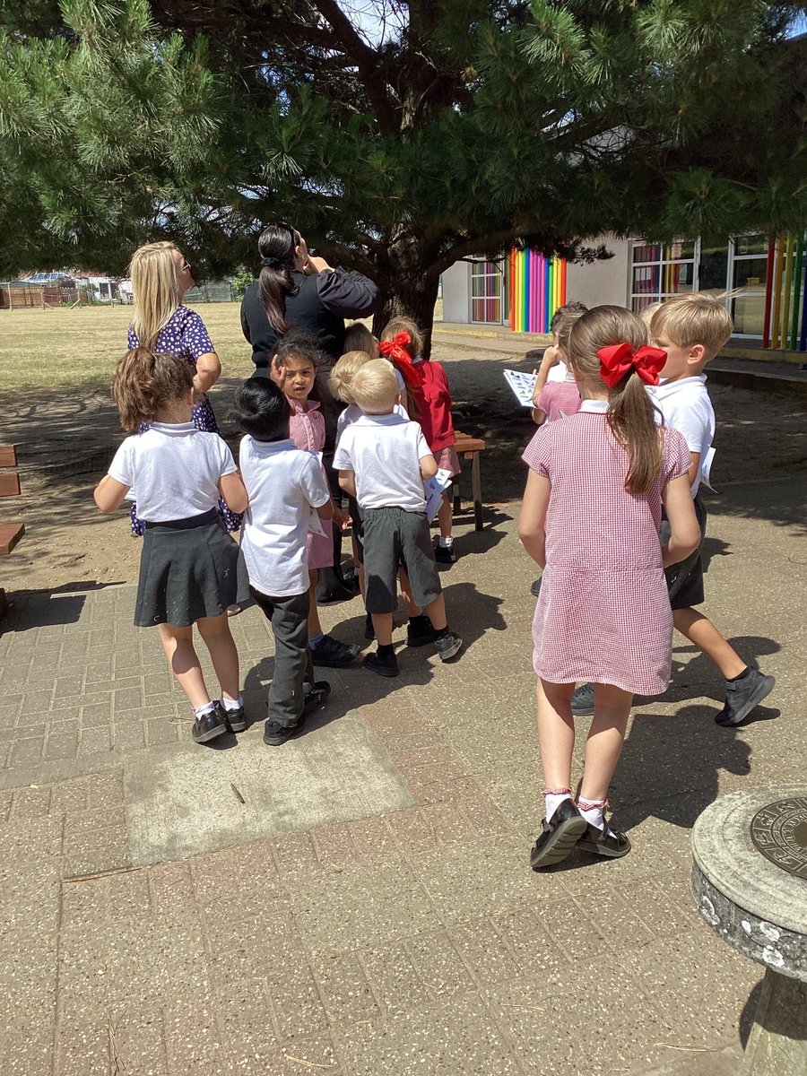 This week, year 1 were thrilled about their science lesson. They ventured outside for some relaxing birdwatching.