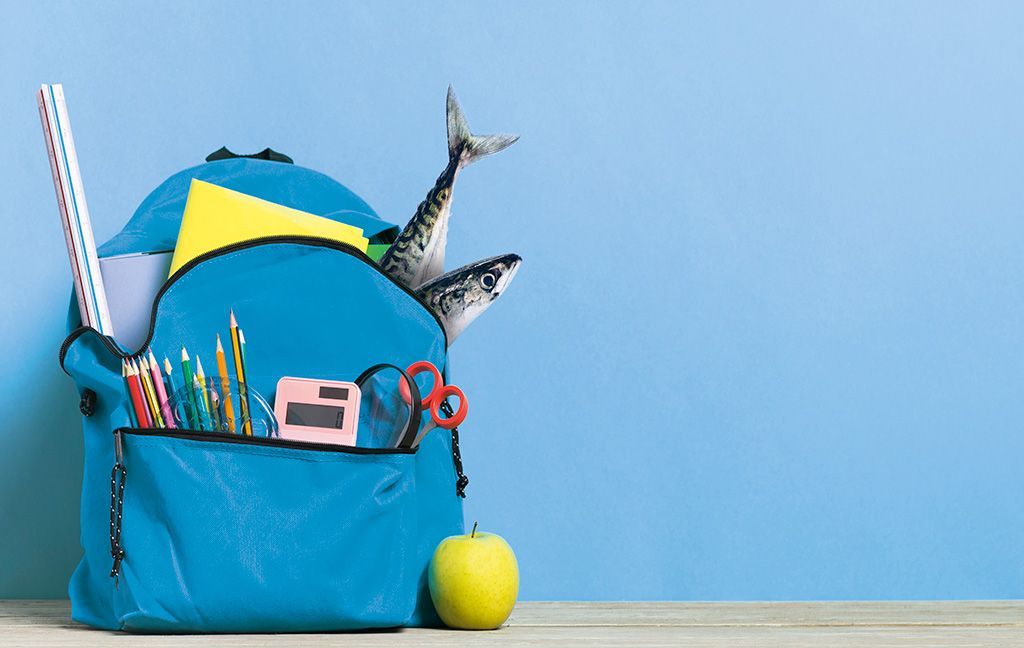 🍽🐟 👧🏻👦🏻 Comedores escolares: Menús con pescado, beneficio presente y futuro. 

🔹Mónica Herrero, especialista en Nutrición, explica cómo mejorar la alimentación en los comedores escolares. 

💙🐟 "Pescado y Salud", cada mes en la #RevistaIP: buff.ly/uExrAOs