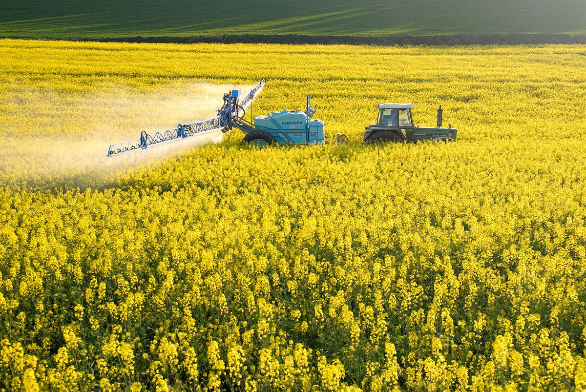 Fede Sturzenegger (@fedesturze) on Twitter photo FACILITAMOS EL COMERCIO DE AGROQUIMICOS. La Resolución 485/25 de <a href="/SenasaAR/">Senasa Argentina</a> con firma de <a href="/cortesep62/">Pablo Cortese</a>, implementa una importante desregulación en productos fitosanitarios. Hasta hoy, registrar un fitosanitario en Argentina implicaba trámites largos, superposición de registros y FACILITAMOS EL COMERCIO DE AGROQUIMICOS. La Resolución 485/25 de <a href="/SenasaAR/">Senasa Argentina</a> con firma de <a href="/cortesep62/">Pablo Cortese</a>, implementa una importante desregulación en productos fitosanitarios. Hasta hoy, registrar un fitosanitario en Argentina implicaba trámites largos, superposición de registros y