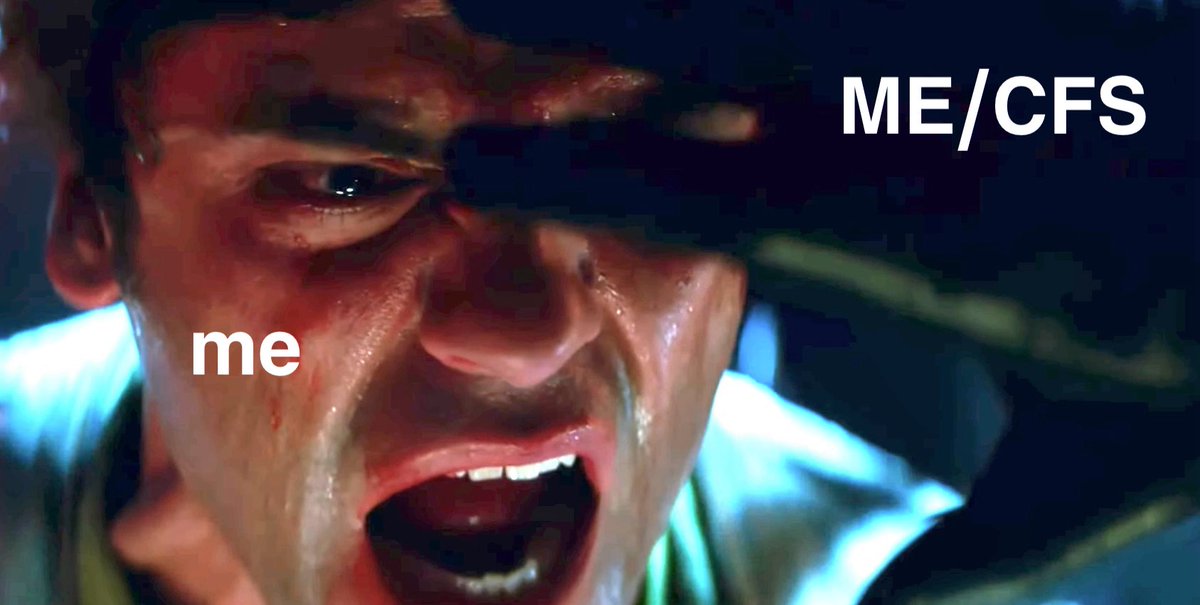 Whitney Dafoe tweet media