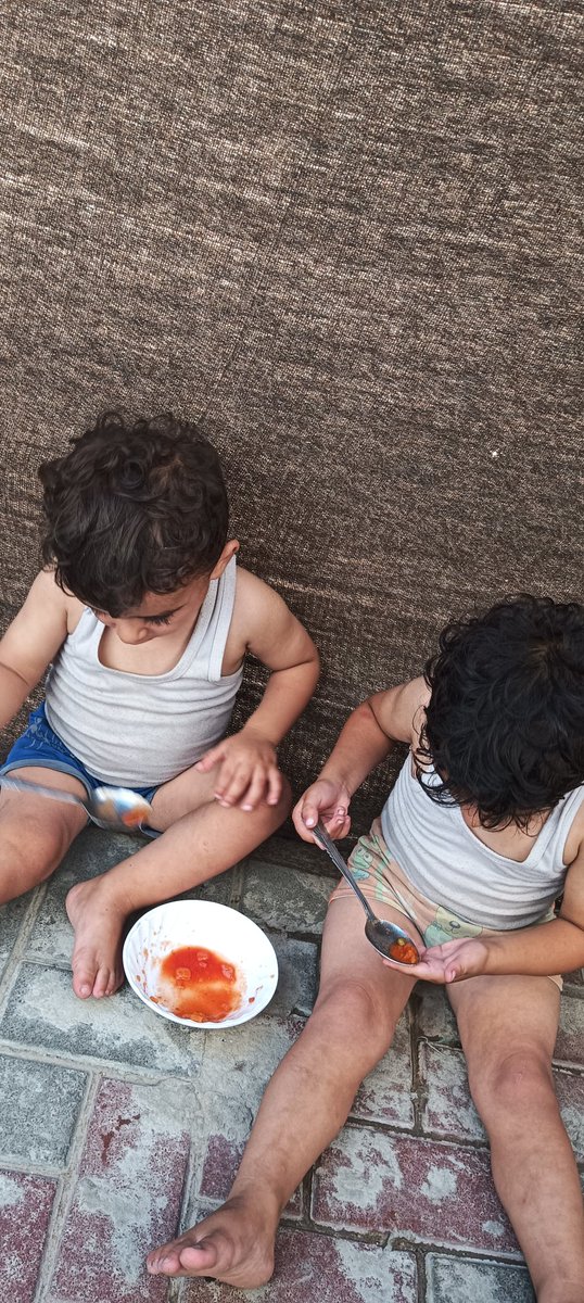 Fouad Ayman in gaza tweet media