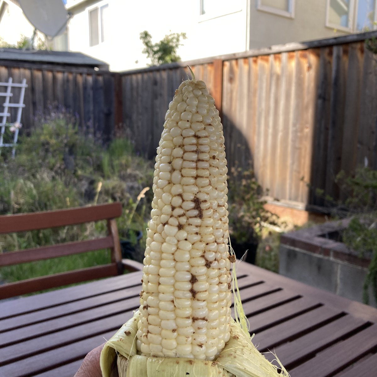 Since I will be out of town on the 4th, grilling some Indian Style Corn early thanks to a tip from an IG food lover #bayarea #foodblog #foodblogger #cookwithzee #homecooking - cookwithzee.blogspot.com/2025/06/indian…