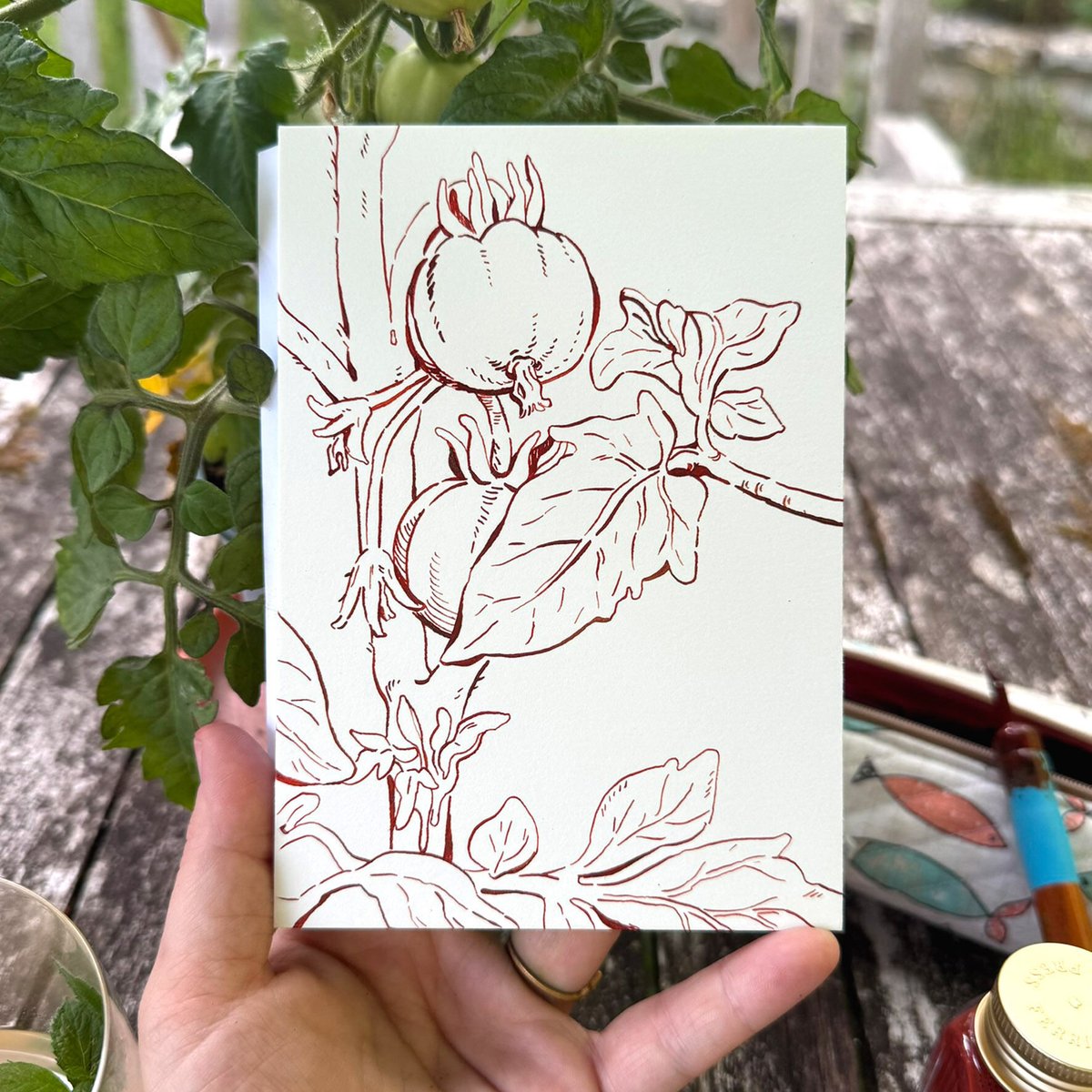 andthegrunlings's tweet image. Little tomato 🌱 Color vs Lineart :) Done with red ink for the lines and watercolor for the rest ✨ Get this couple of original on my website, I bet they would look cute in your kitchen #watercolour #inkart #veggie #gardening #natureart #green #tomato