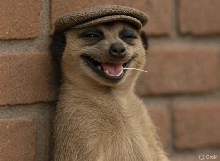 U.S Embassy watching J.P applying for a VISA