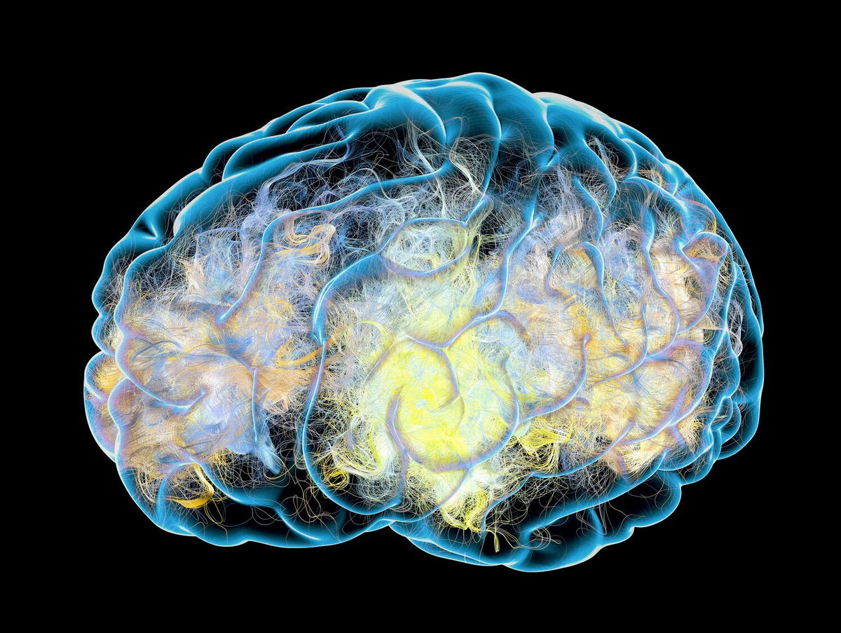 mcpdigital's tweet image. This systematic review synthesized the current state of research on natural language processing techniques for early detection of cognitive impairment from speech and language data.
bit.ly/46o8N7A