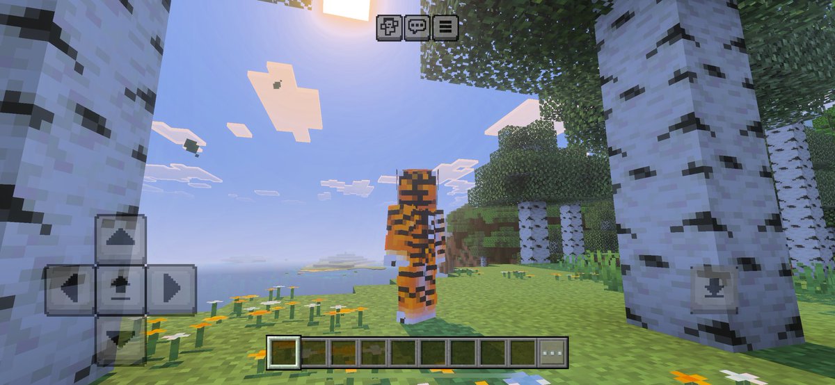 It’s so pretty 🍁