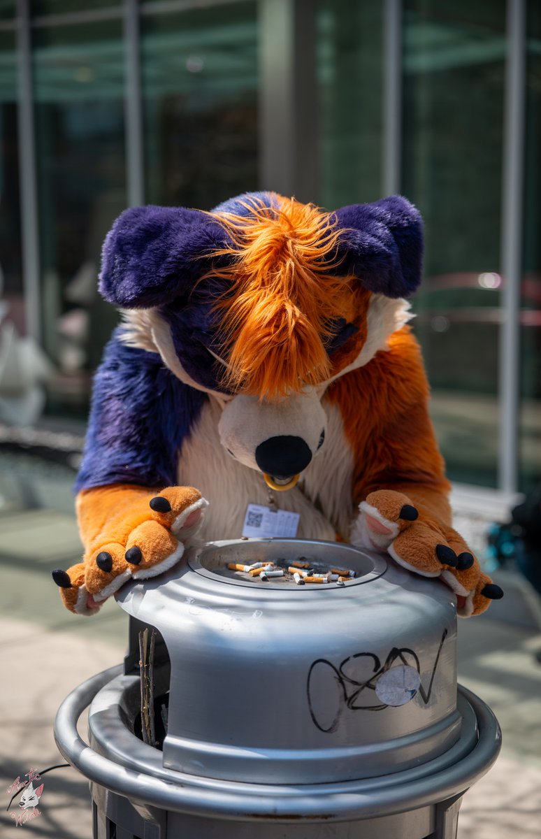 ๐ฟDog With A Blog๐ฟ (@aussiefluffbutt) on Twitter photo Im soooooo hungry...wait somebody left a snack just for me!
๐ธ - <a href="/ArcticWindPhoto/">Arctic Winds Photos</a>
#FursuitFriday Im soooooo hungry...wait somebody left a snack just for me!
๐ธ - <a href="/ArcticWindPhoto/">Arctic Winds Photos</a>
#FursuitFriday