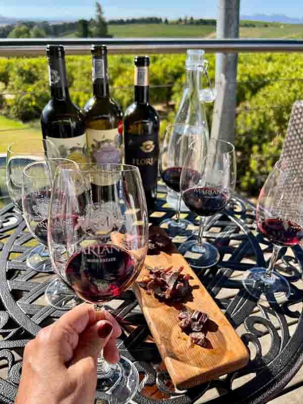 The two boutique wineries at the Marianne Wine Estate produce hand-crafted premium wines in the French style but with a South African character.

Read more 👉 lttr.ai/AfyMJ

#wine #capetown #CapeTown