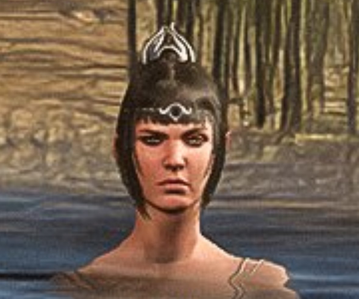 i think shadowheart disapproves