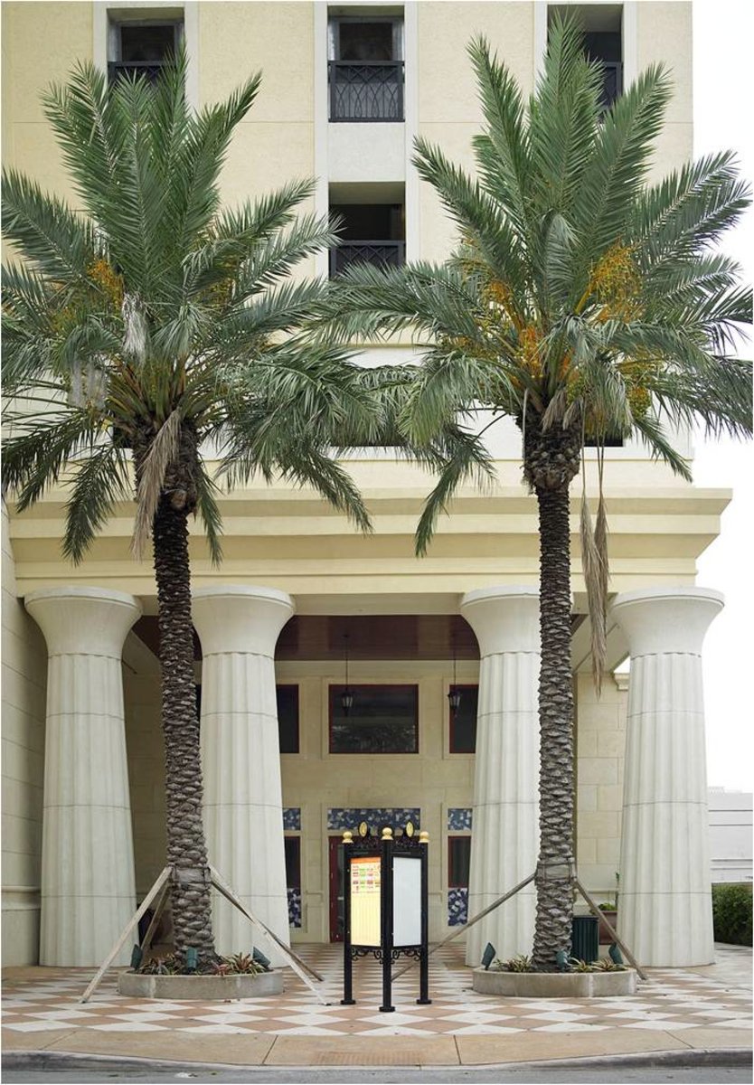 Step into the world of cinema at the acclaimed Coral Gables Art Cinema, our city’s nonprofit art house which presents first-run and regional premieres of quality American independent and international features. See what’s playing at gablescinema.com
#CityBeautiful