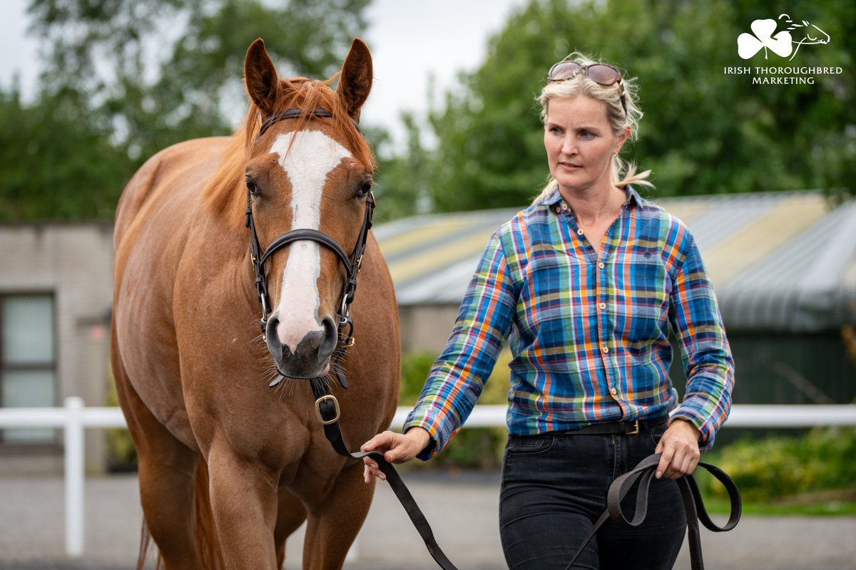 ITM (@irethoroughbred) on Twitter photo Take a look at this beauty! 😍
Lot 1⃣7⃣ from <a href="/TheBloodstockC/">The Bloodstock Connection</a> at <a href="/Goffs1866/">Goffs</a> Classic <a href="/BrzUps/">Breeze Up Sales</a> is a well-made filly by Havana Grey. First living produce of a 4x winning dam, she showed up well in her breeze at <a href="/NaasRacecourse/">Naas Racecourse</a>.
🗓️ 6.15pm 28 June
📖 Catalogue: bit.ly/4dClQE7 Take a look at this beauty! 😍
Lot 1⃣7⃣ from <a href="/TheBloodstockC/">The Bloodstock Connection</a> at <a href="/Goffs1866/">Goffs</a> Classic <a href="/BrzUps/">Breeze Up Sales</a> is a well-made filly by Havana Grey. First living produce of a 4x winning dam, she showed up well in her breeze at <a href="/NaasRacecourse/">Naas Racecourse</a>.
🗓️ 6.15pm 28 June
📖 Catalogue: bit.ly/4dClQE7