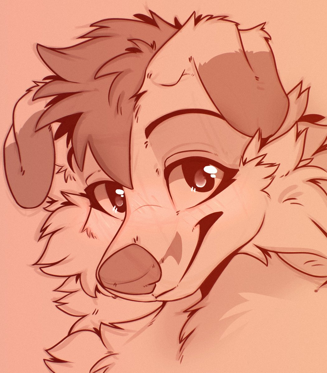 Stainy! @ NFC (@stainlessthefox) on Twitter photo 