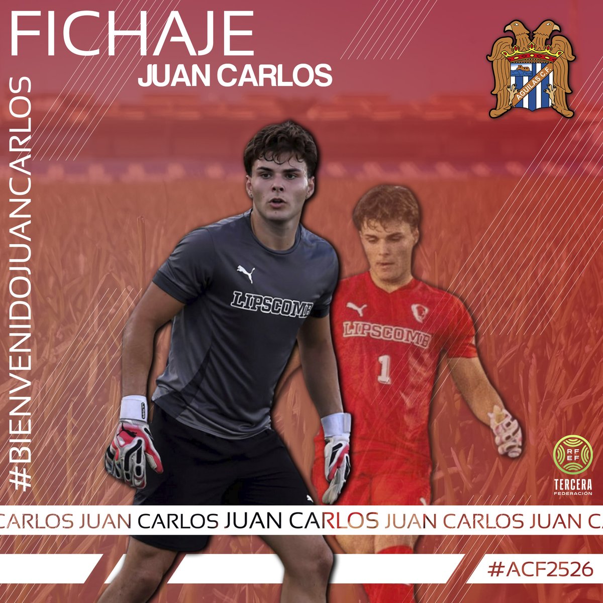 aguilas_fc's tweet photo. 📣 𝗢𝗙𝗜𝗖𝗜𝗔𝗟 | Chesco, Juanca y Álex "Pilas", nuevos jugadores del Águilas F.C. "B"

📰 El atacante lorquino y el portero antense refuerzan al filial.
"Pilas" vuelve tras pasar por la Peña Deportiva Garrucha y por el Sub23 de la @acref_aguilas

#𝗔𝗙𝗖𝟮𝟱𝟮𝟲 💙🤍 https://t.co/YqmSiAqjgp