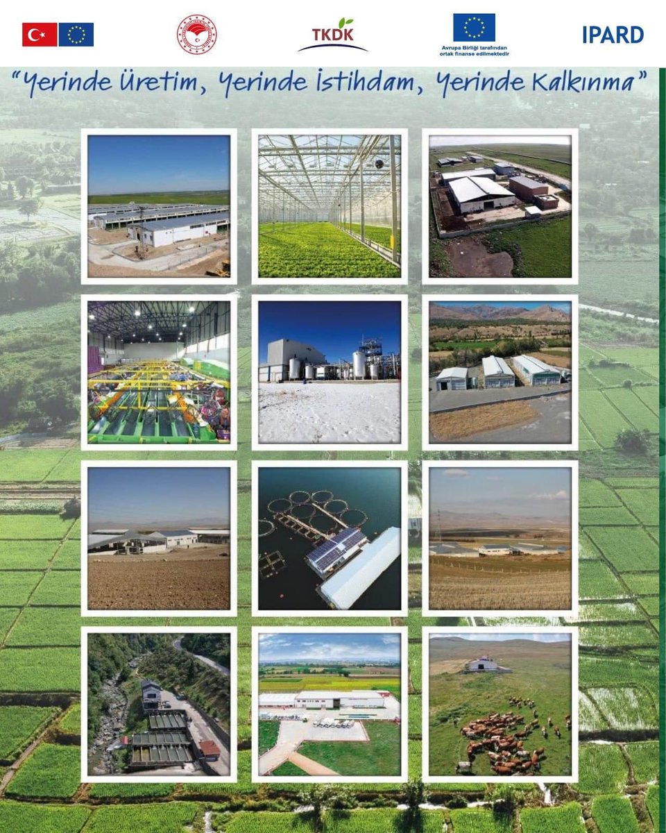 Dr. Muhammed Adak (@drmuhammedadak) on Twitter photo 