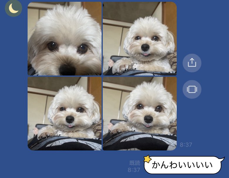 ぽた (@potage_0924) on Twitter photo 