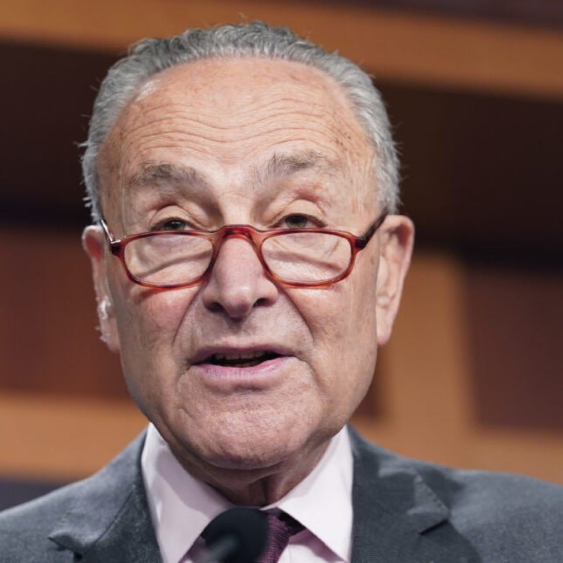 Would you support the DOJ investigating Chuck Schumer?

A. YES 
B. NO