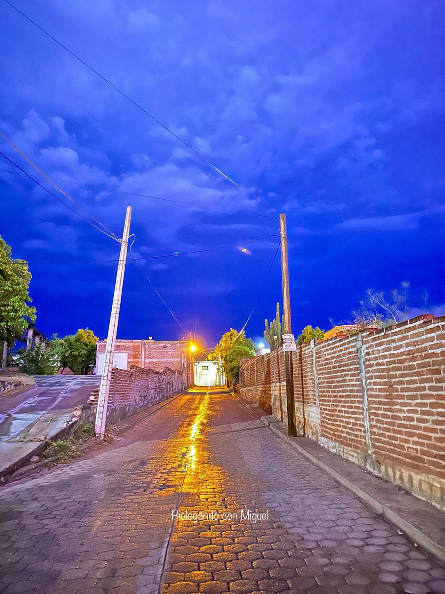 ¡Llovió en Álamos...alabado sea el Señor Dios del universo!

📷 Dialogando con Miguel