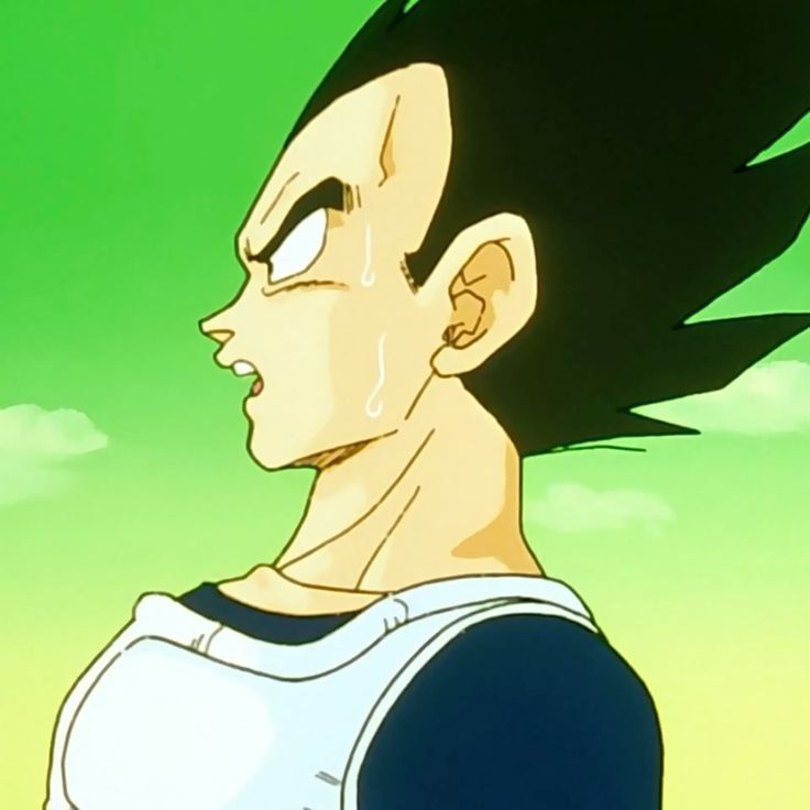 Daily Vegeta (@vegeta_daily) on Twitter photo 