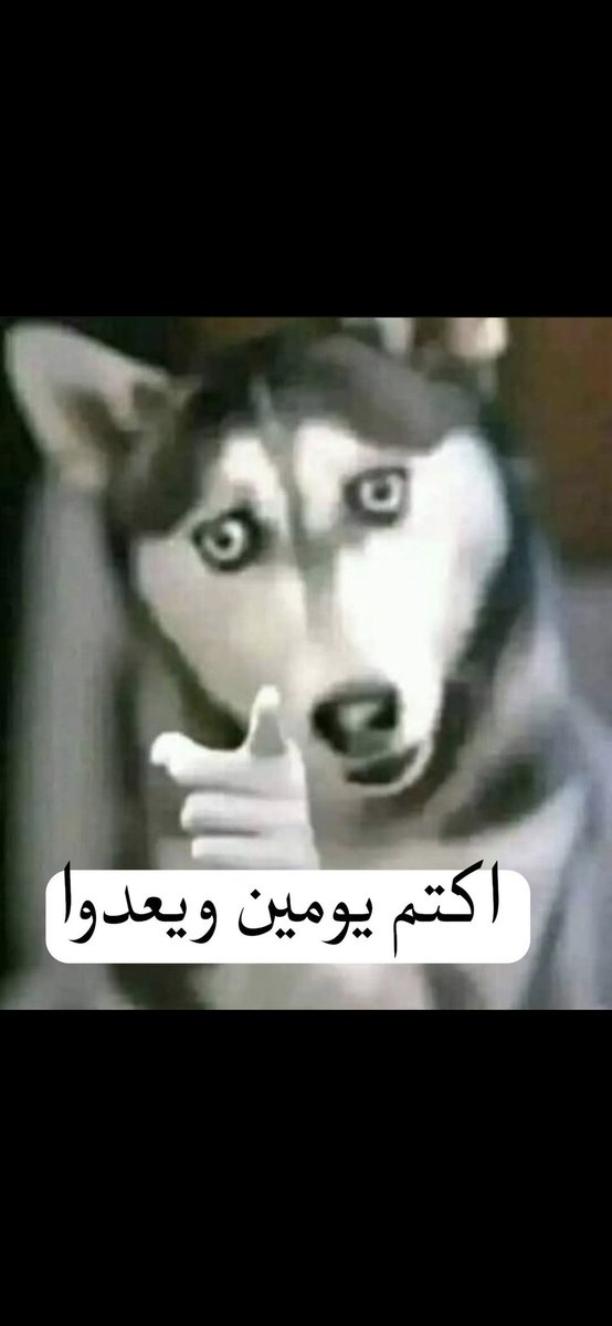 يا رب هوِّن .