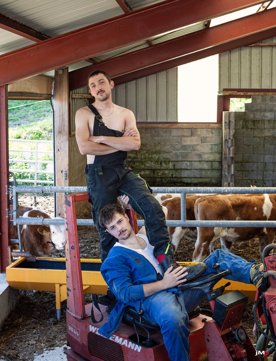 the farm boys 3 🧑‍🌾 
#gaycouple #cows #farm